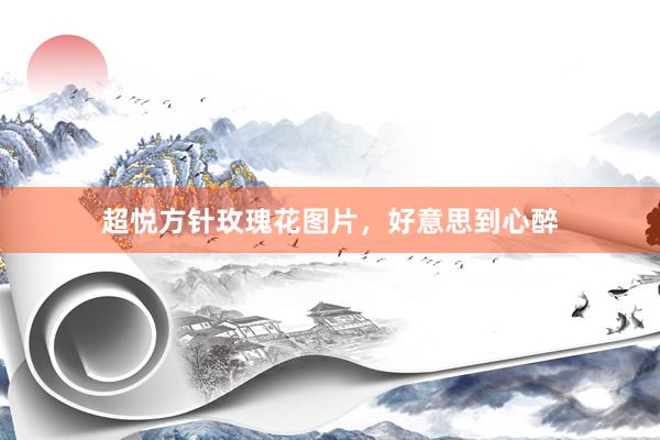 超悦方针玫瑰花图片，好意思到心醉