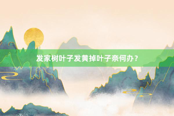 发家树叶子发黄掉叶子奈何办？