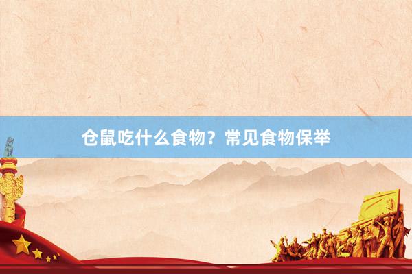 仓鼠吃什么食物？常见食物保举